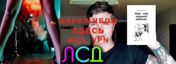 таблы Богданович