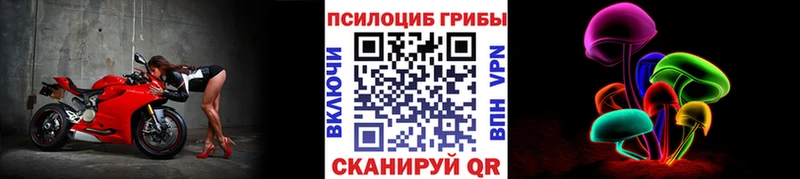 Галлюциногенные грибы Cubensis  Купить закладки  Полярный 